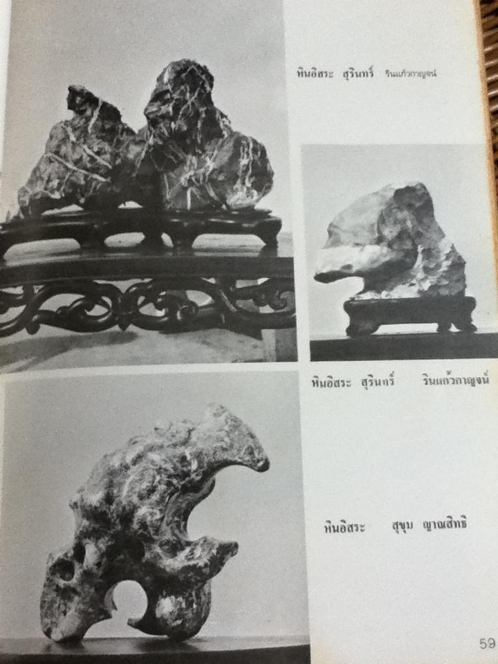 บอนไซ เล่มที่ 1/ ชมรมบอนไซ(ไม้แคระ)แห่งประเทศไทย