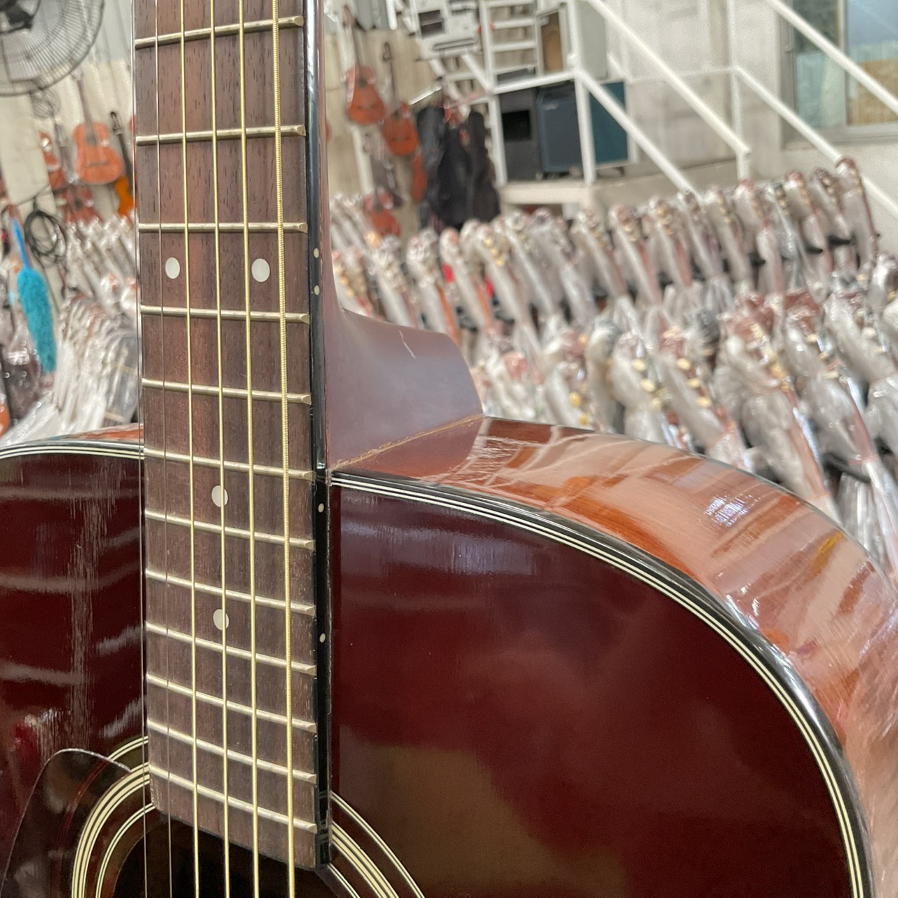 กีต้าร์โปร่ง MORRIS : MD-307LHTS