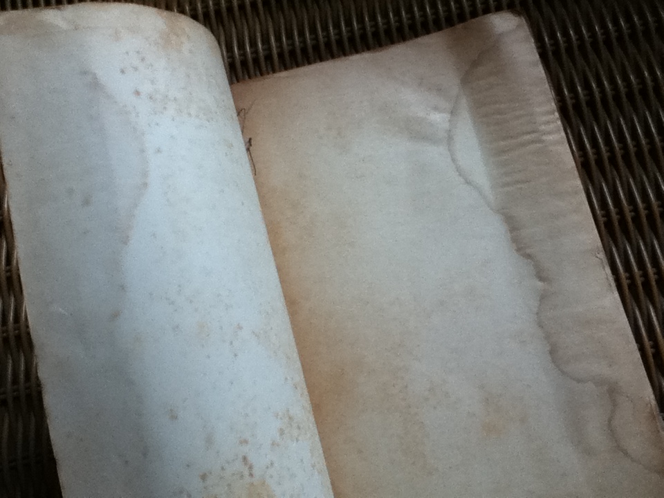 ไฟชีวิต/ เออร์วิง สโตน