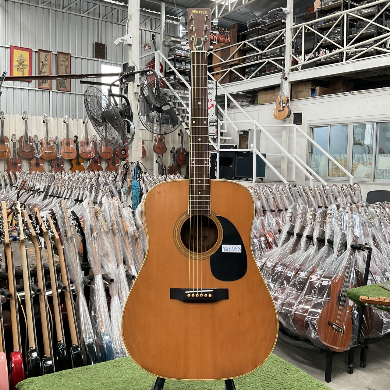 กีต้าร์โปร่ง Morris : W-20