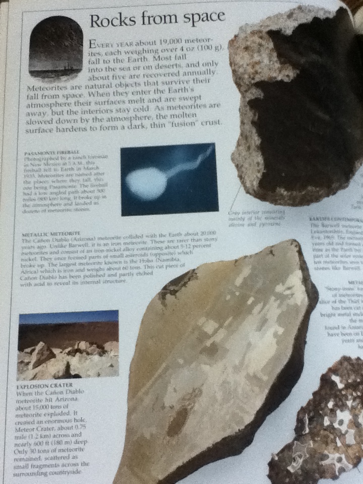 ROCKS & MINERALS (ปกแข็ง)