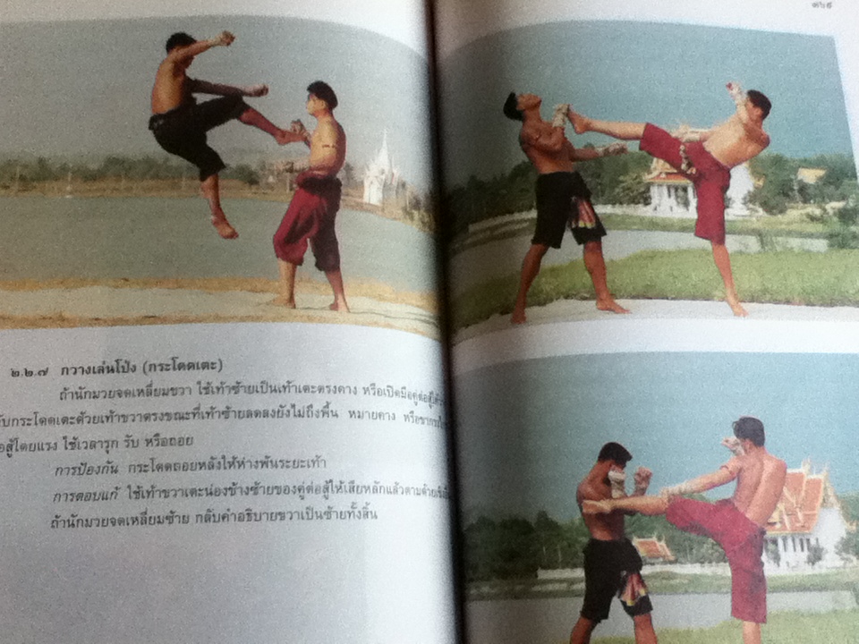 ศิลปะมวยไทย