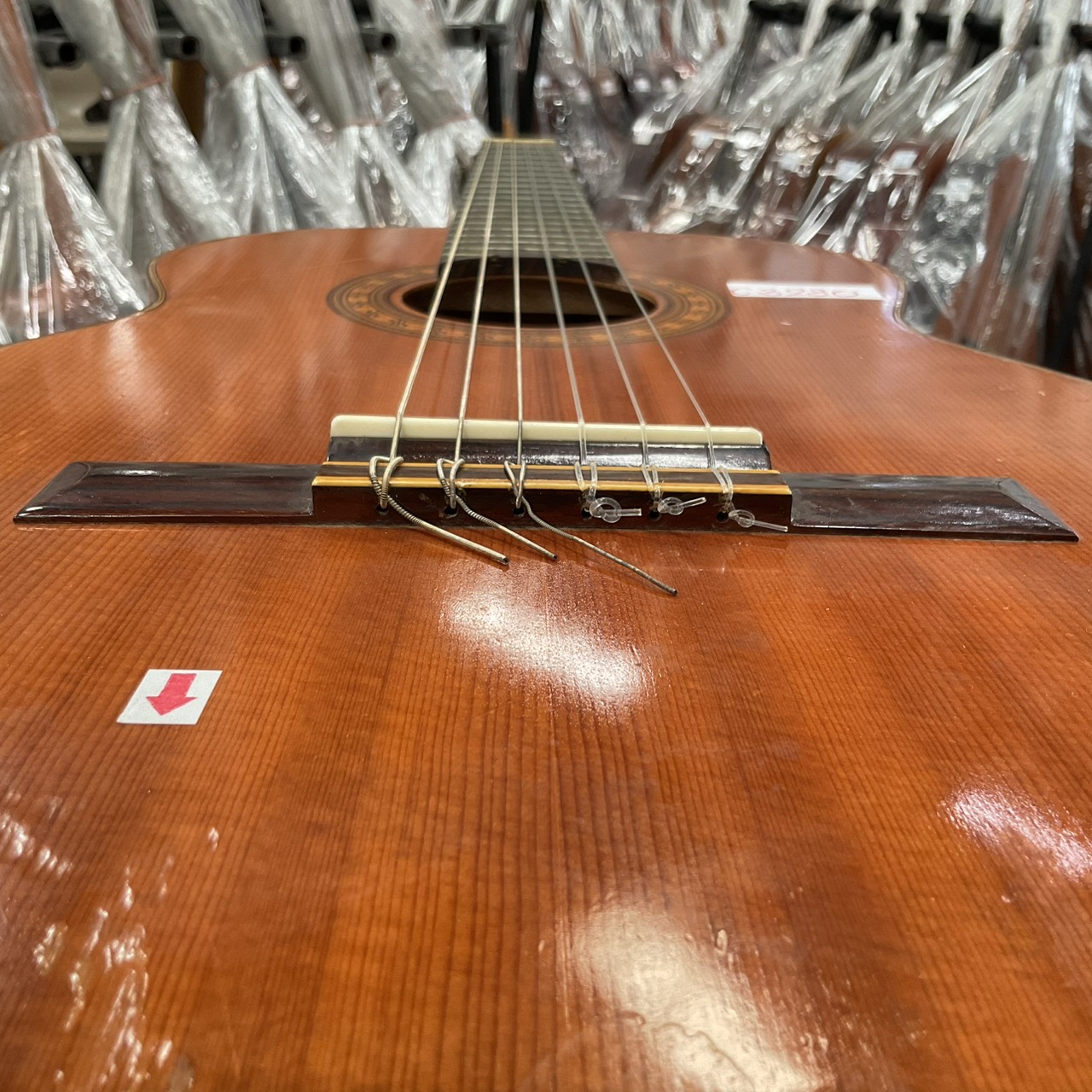 กีต้าร์คลาสสิค SUZUKI : N6