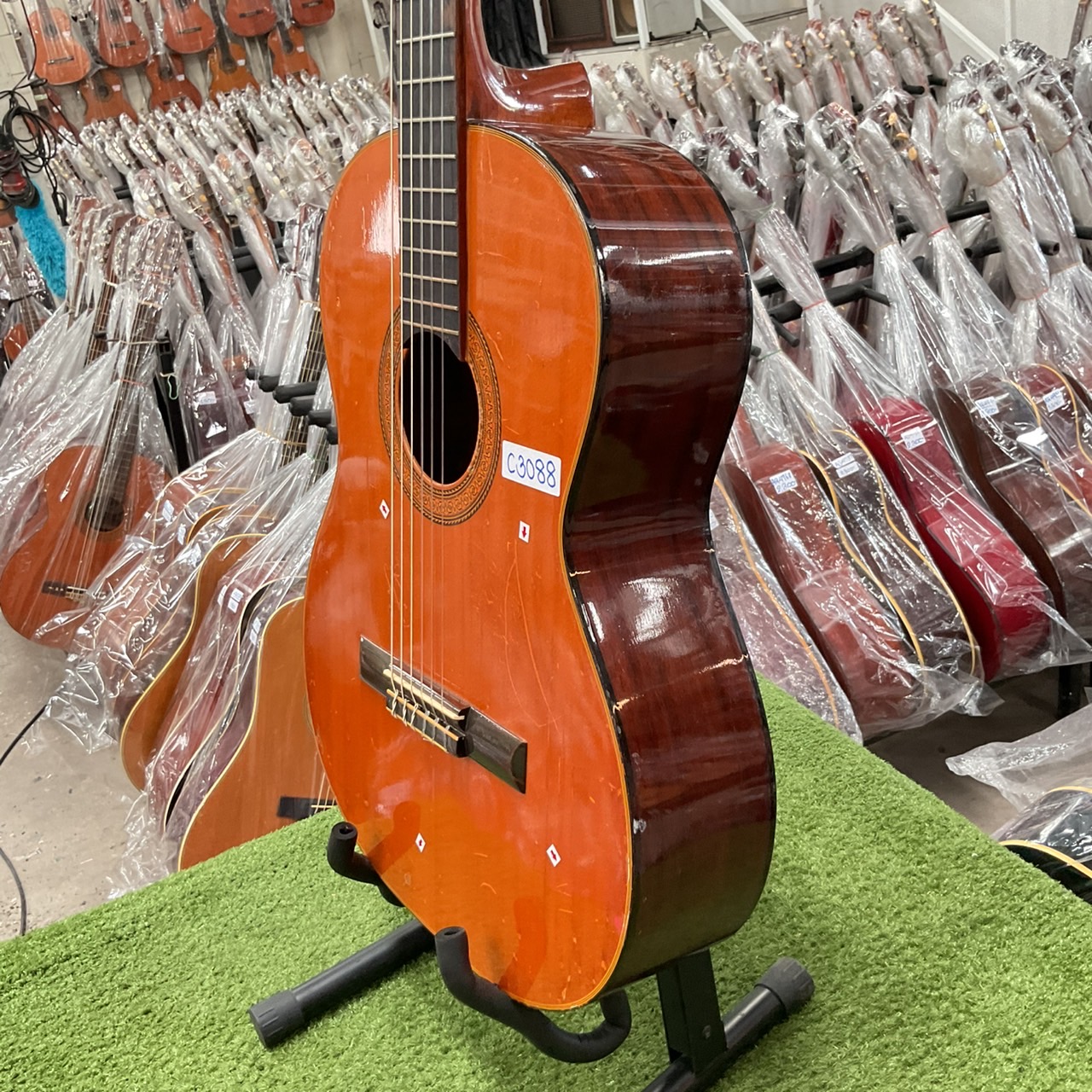 กีต้าร์คลาสสิค Abe Gut : No.315