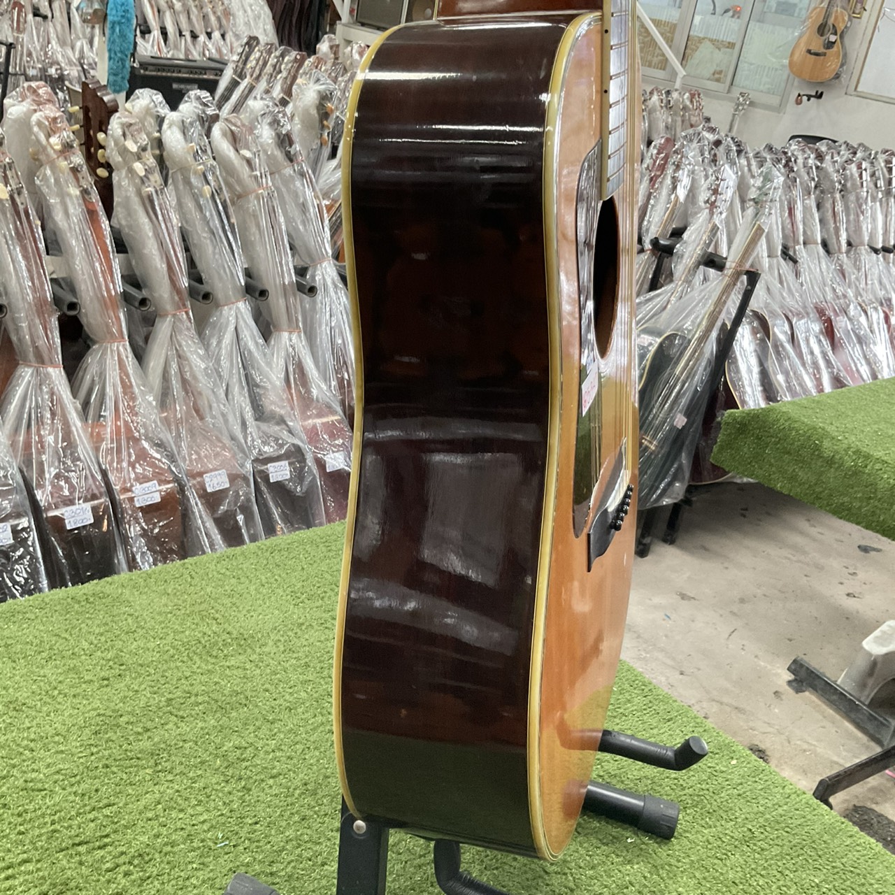 กีต้าร์โปร่ง Morris : W-50 (สำหรับมือซ้าย)