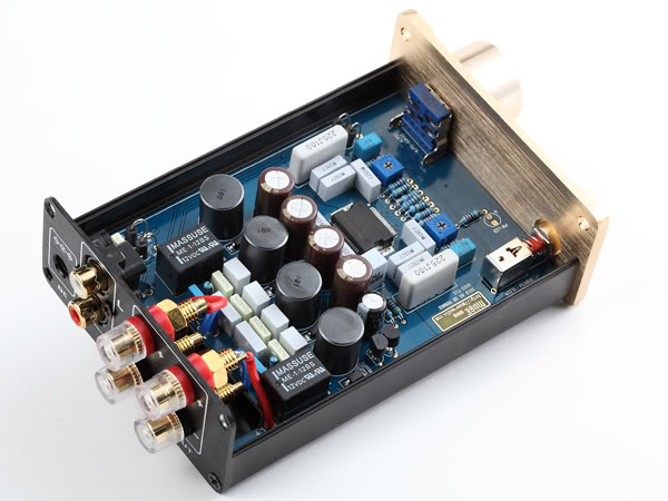 MUSE M15 EX2 TA2024 T-Amp Mini Stereo Amplifier 15WX (Gold)