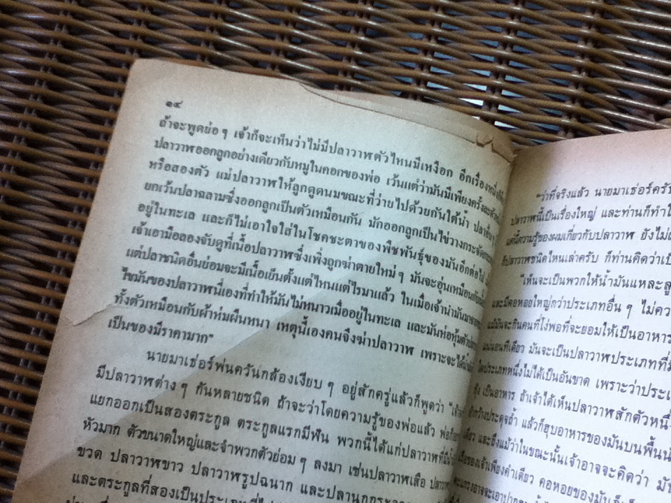 ล่าปลาวาฬ/ Geoffrey Whittam/ เทือก กุสุมา ณ อยุธยา ผู้แปล