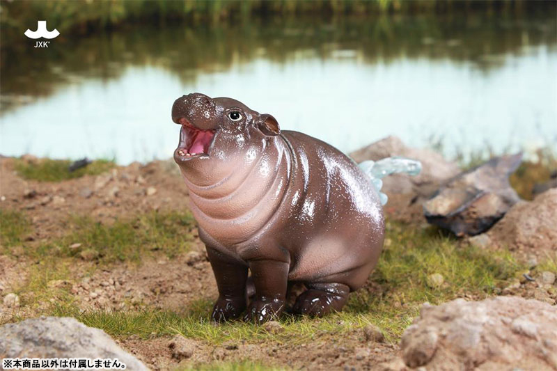 Baby Hippo 5.0(Provisional Pre-order)