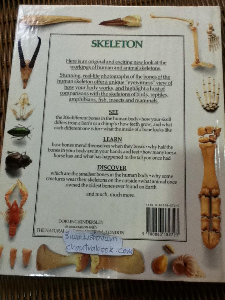 EYEWITNESS GUIDES 9 เล่ม