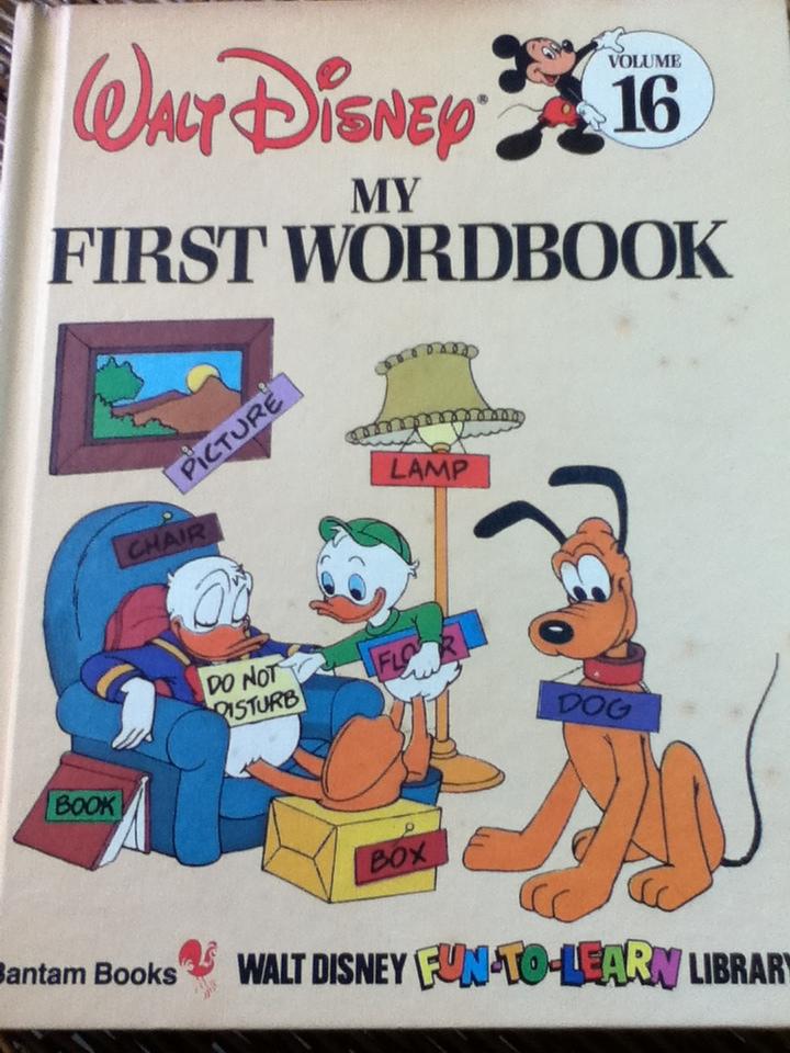 WALT DISNEY FUN-TO-LEARN LIBRARY Volume 3-19 (17 เล่ม)