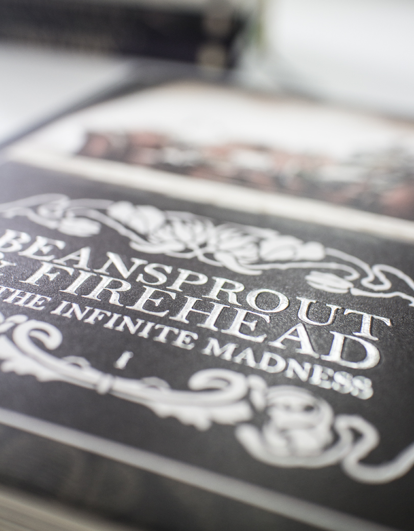 Beansprout & Firehead I In the Infinite Madness - ถั่วงอก และ หัวไฟ (เล่ม1) ในความบ้าคลั่งอันมิรู้สิ้นสุด (ปกกึ่งแข็ง)