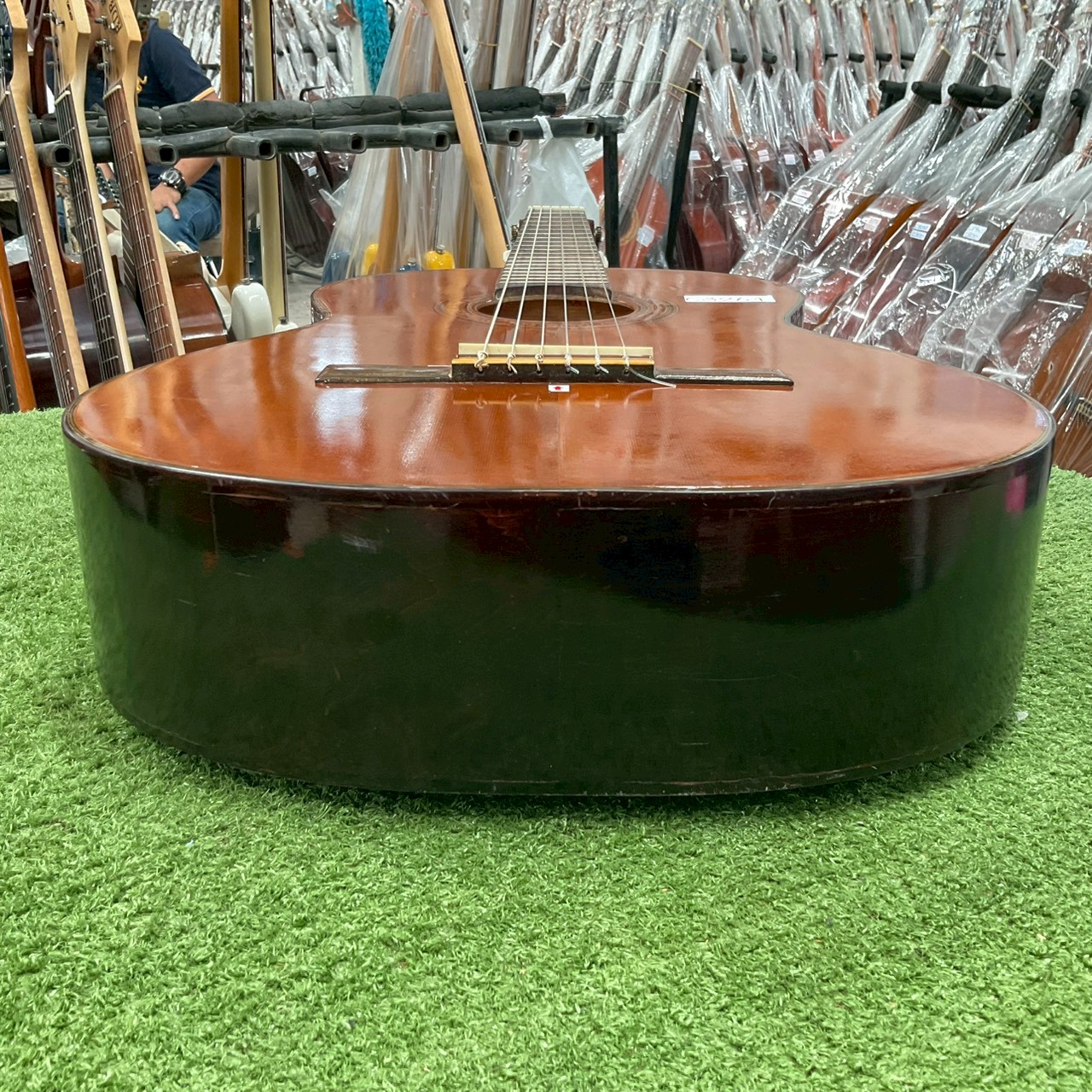 กีต้าร์คลาสสิค Zen-on Gut : No.60