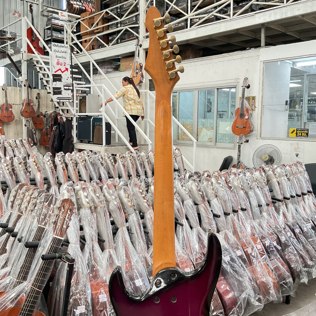 กีต้าร์ไฟฟ้า Aria Pro II : MAGNA