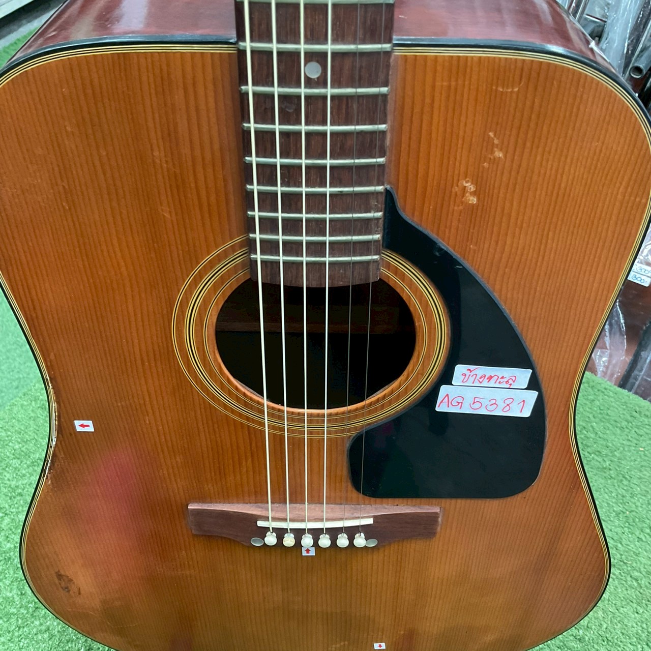 กีต้าร์โปร่ง Ariana : A790