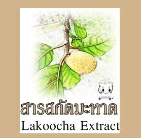 สารสกัดมะหาดชนิดน้ำ 150 -500 มล.