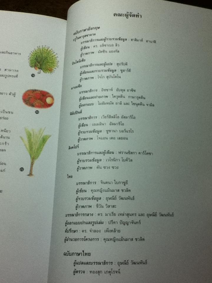 หนังสือส่งเสริมการอ่านสำหรับระดับประถมศึกษา ป่าไม้รอบตัวเรา Forest, Forest Everywhere