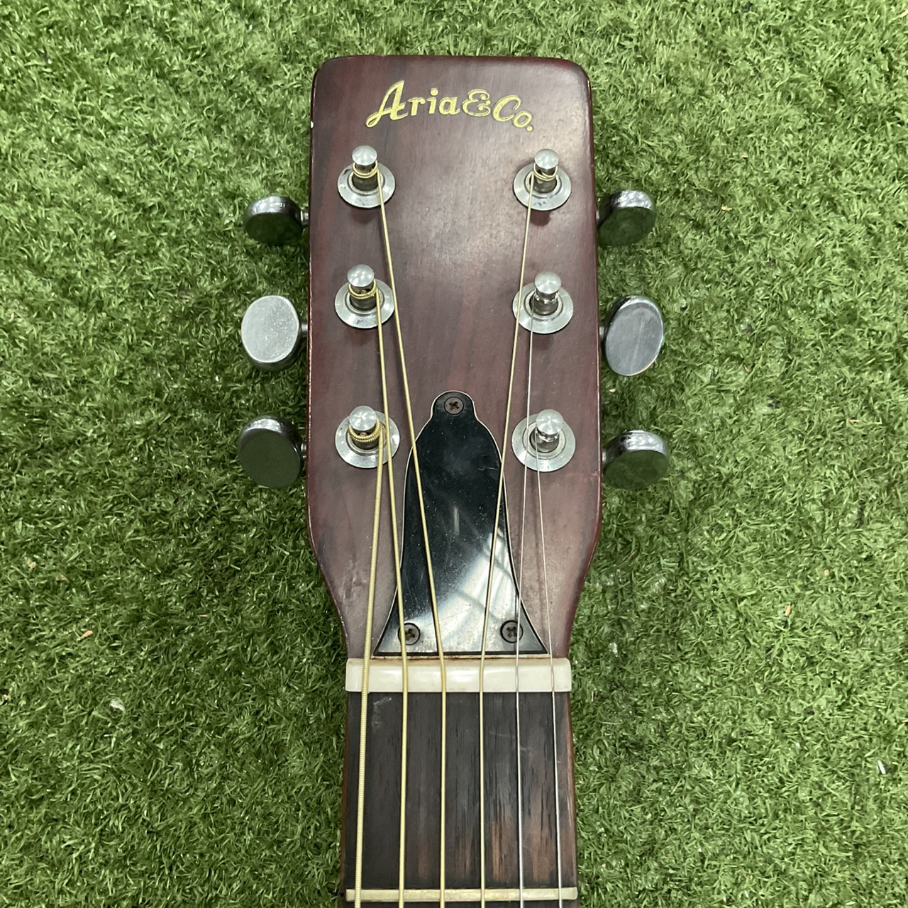 กีต้าร์โปร่ง Aria : W-180