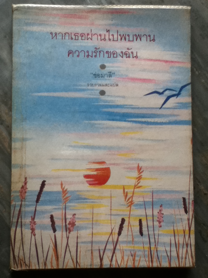 หากเธอผ่านไปพบพานความรักของฉัน