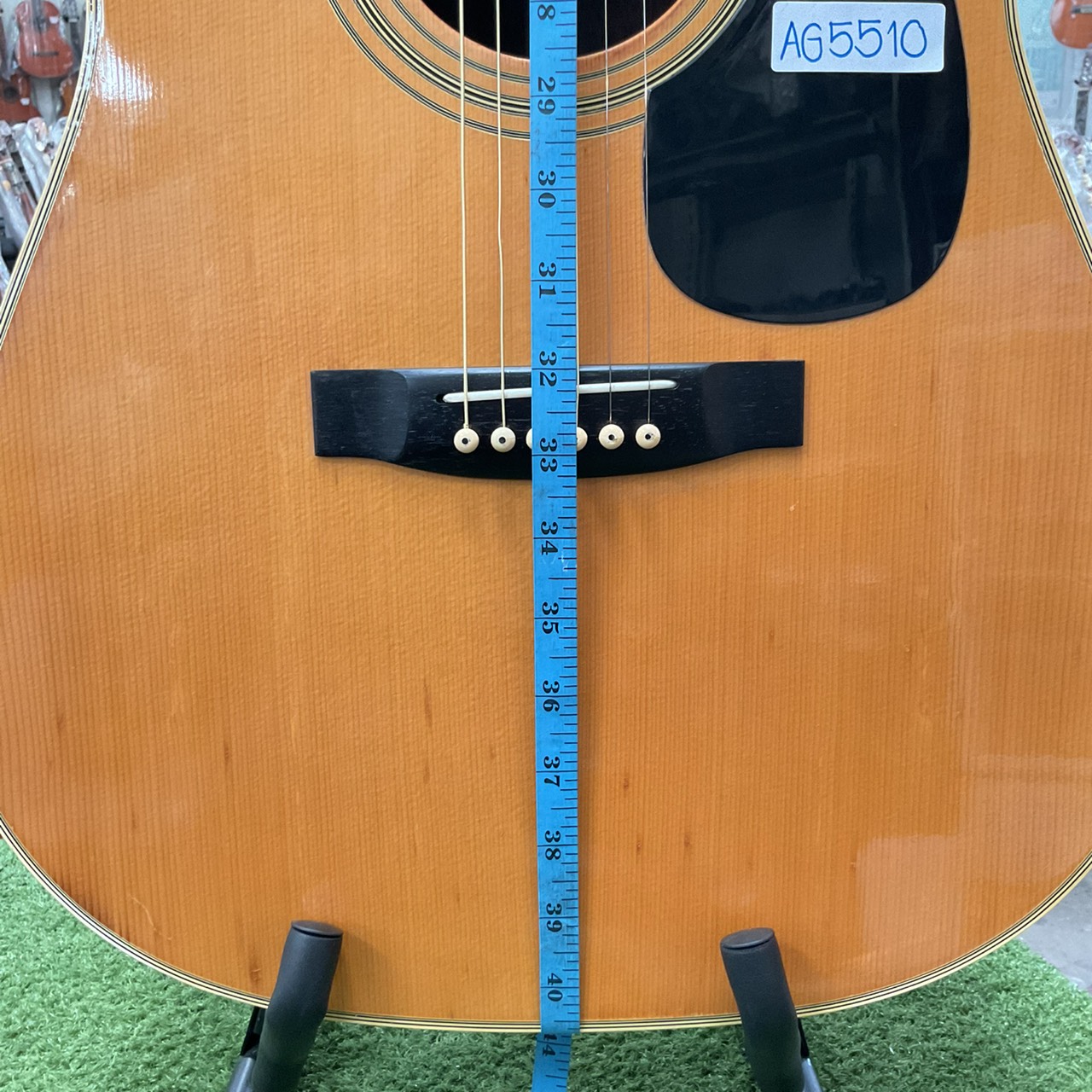 กีต้าร์โปร่ง Morales : LYRE BIRD