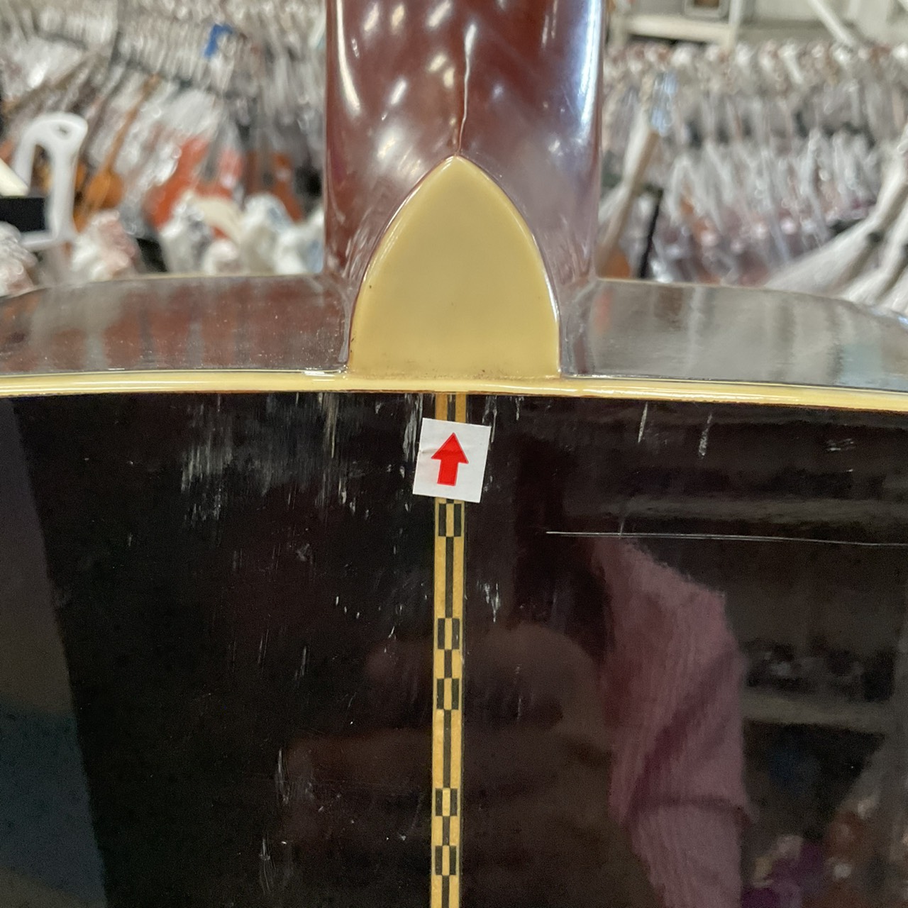 กีต้าร์โปร่ง Morris : W-25