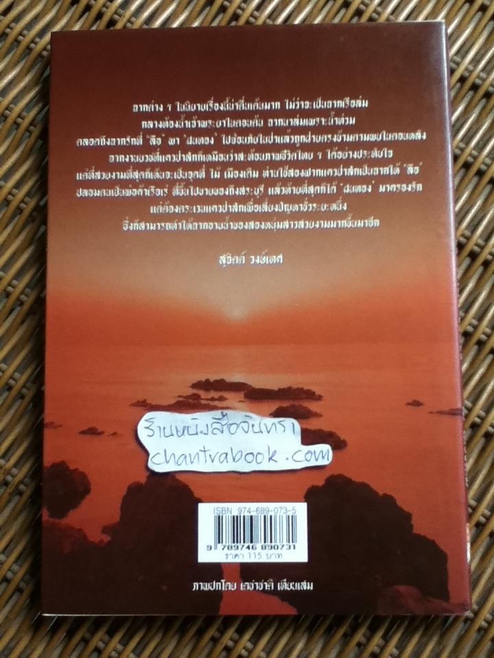 เรือเพลง-เรือเร่/ ไม้ เมืองเดิม