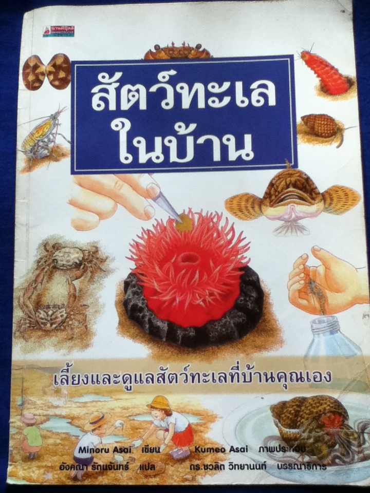 สัตว์ทะเลในบ้าน (หนังสือแถม)