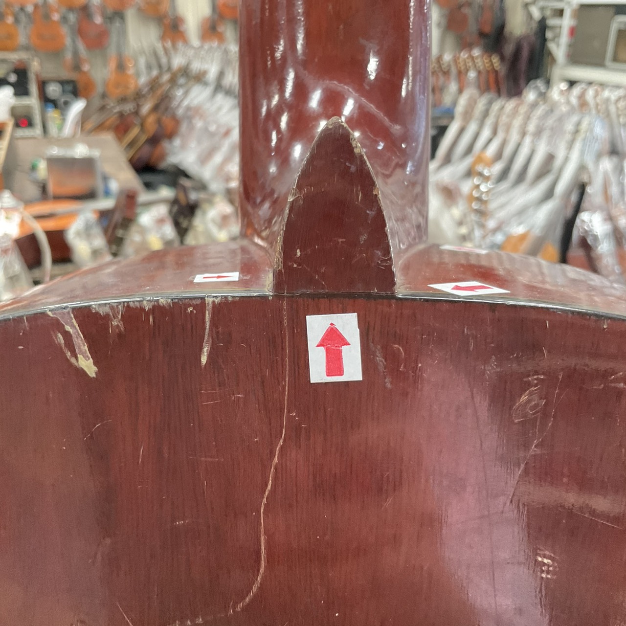 กีต้าร์คลาสสิค SUZUKI : C-10