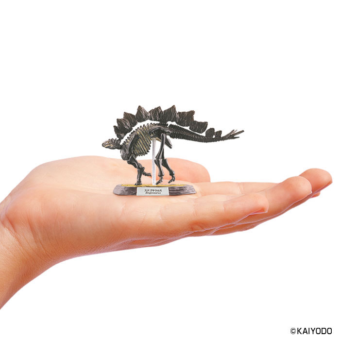 Dinoasaur Master 5 10Pack BOX (CANDY TOY)(Released)
