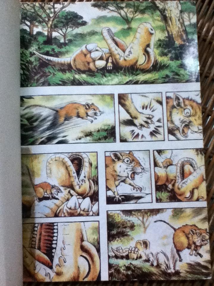 ก๊อง เล่ม1/ มาซาชิ ทานากะ