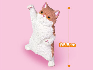 NYAoooo!! 2 10Pack BOX(Pre-order)