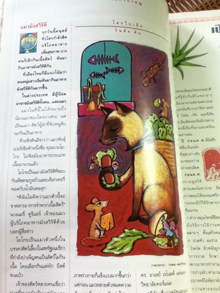 สารคดี ฉบับที่ 107 ปีที่ 9 เดือนมกราคม 2537