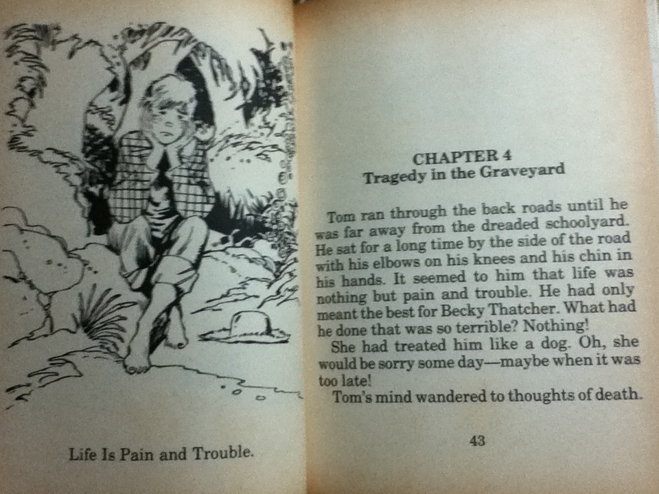THE ADVENTURES OF TOM SAWYER/ Mark Twain