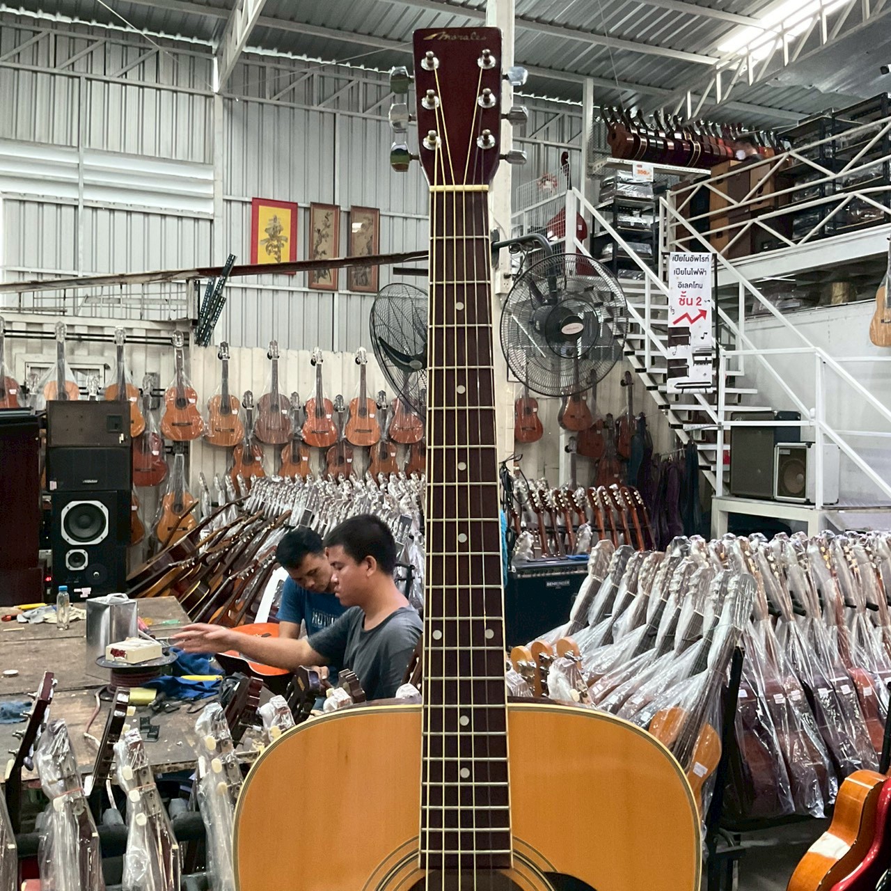 กีต้าร์โปร่ง Marales : MW-200