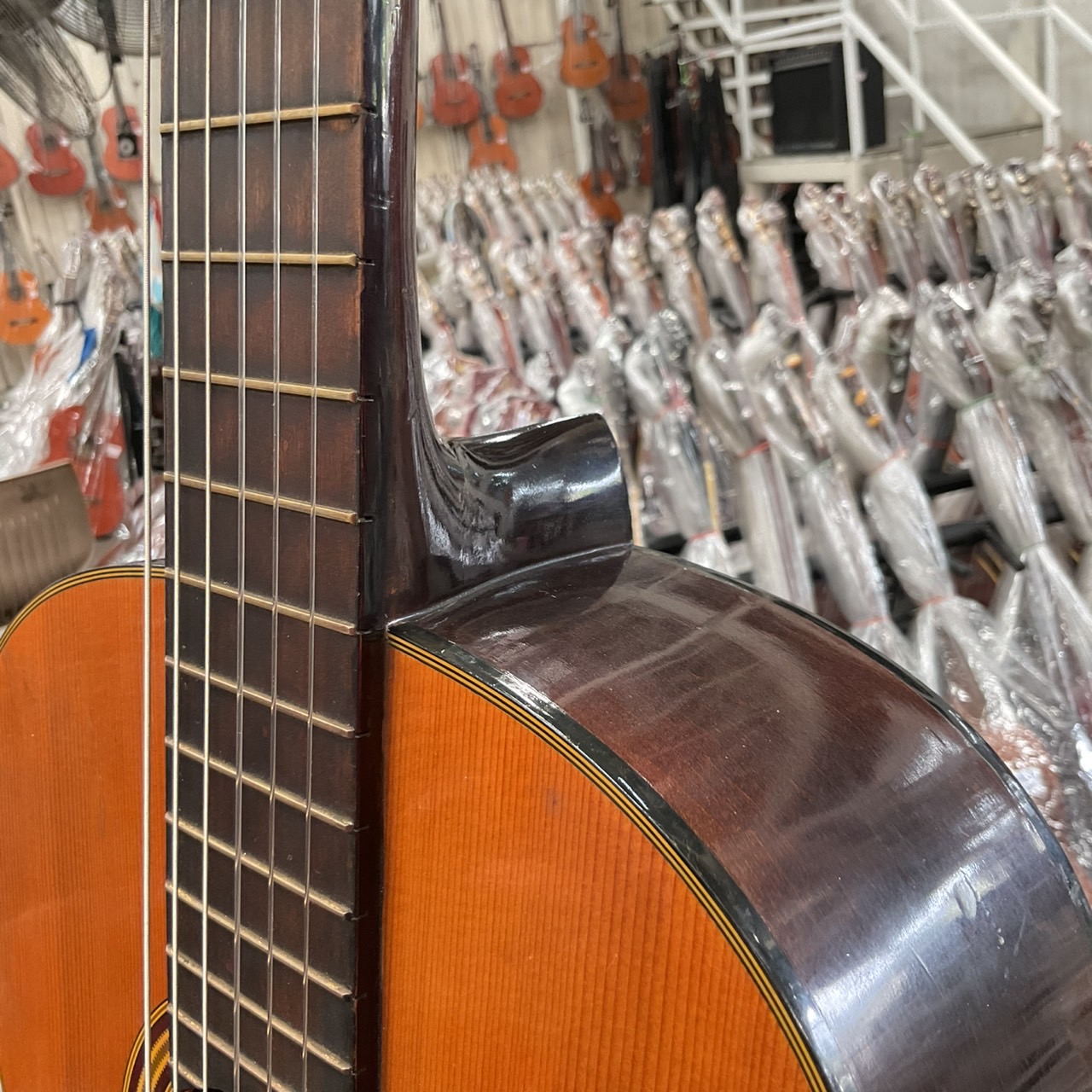 กีต้าร์คลาสสิค YAMAHA : G-50