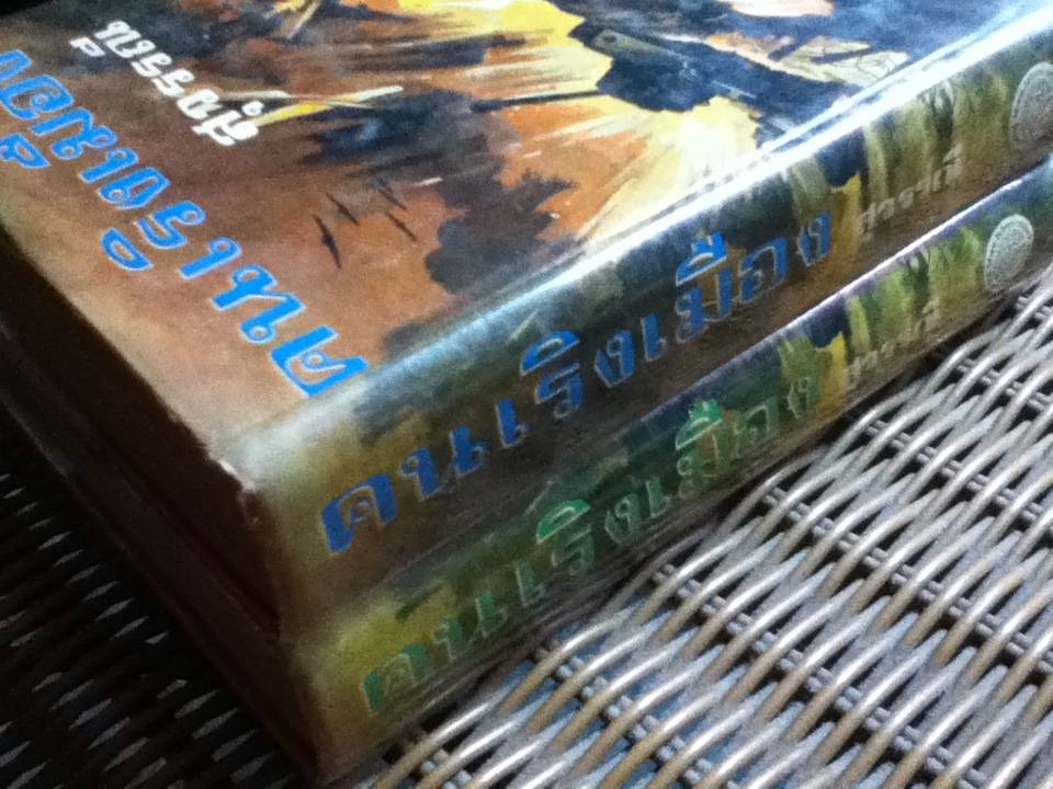 คนเริงเมือง (ปกแข็ง 2 เล่มจบ)/ สุวรรณี