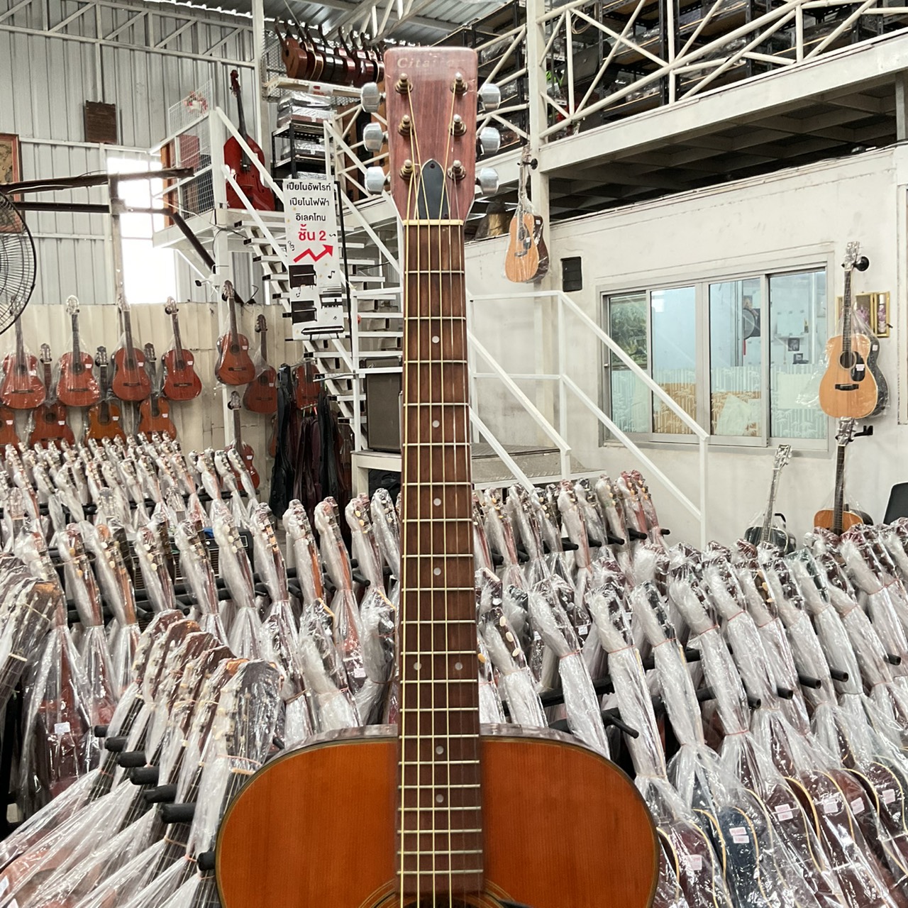 กีต้าร์โปร่ง Citation : CIT5000