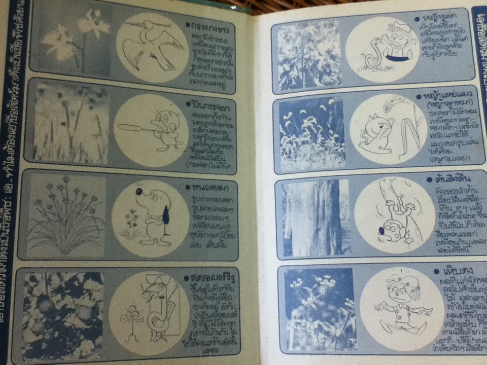 วิทยาศาสตร์อ่านสนุก ลำดับที่ 4 ความลับของพืช