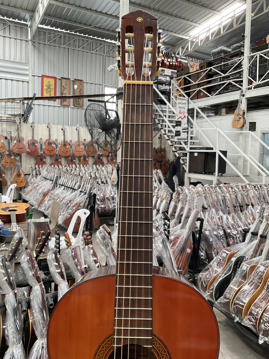 กีต้าร์คลาสสิค YAMAHA : G-100D