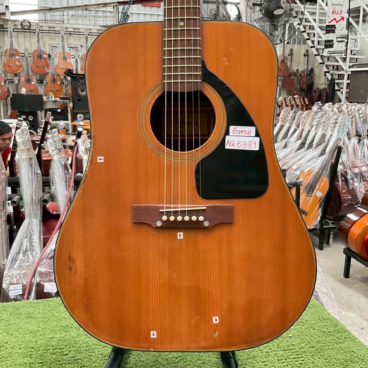 กีต้าร์โปร่ง Ariana : A790