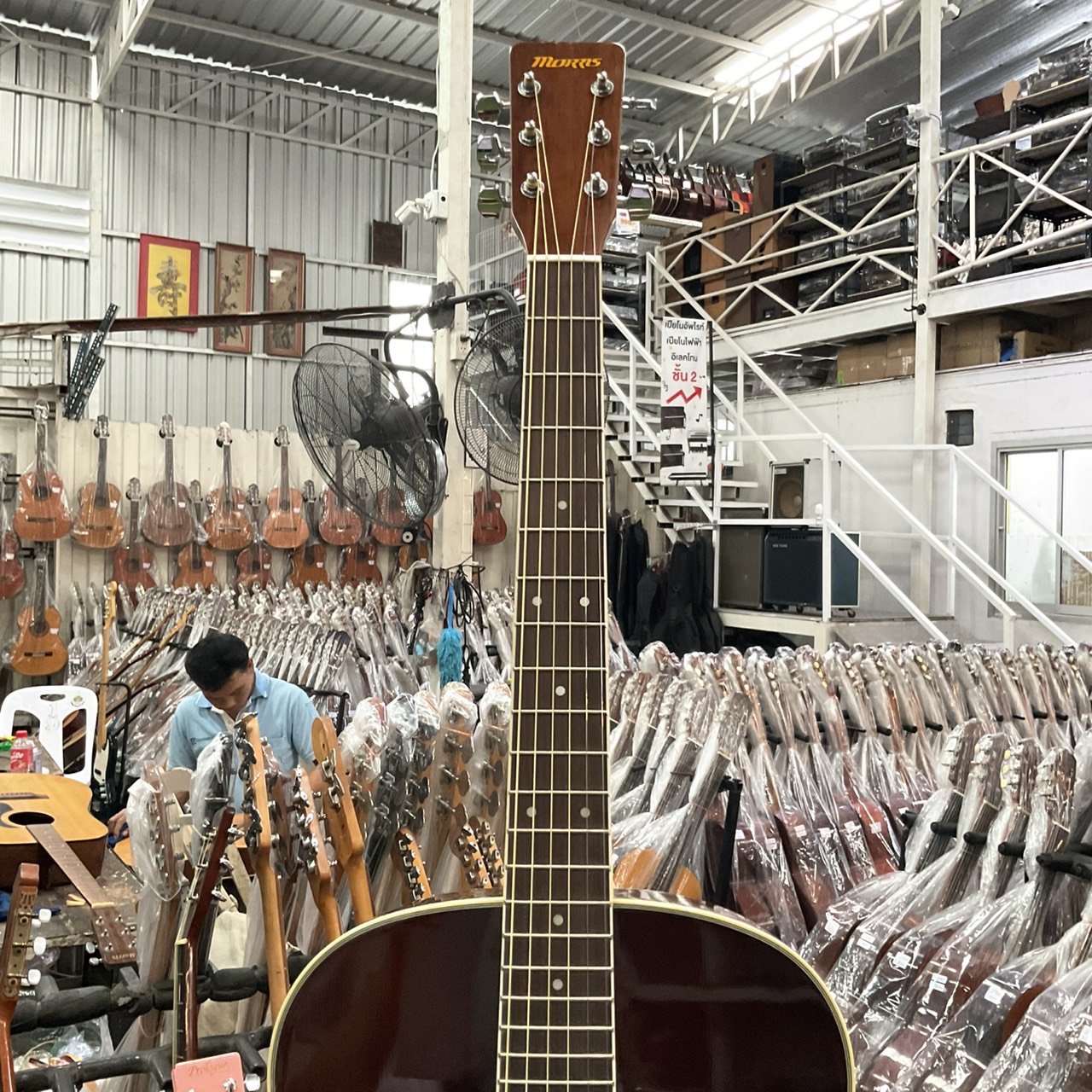 กีต้าร์โปร่ง MORRIS : MF-306TS