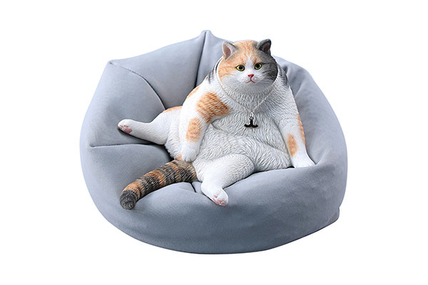1/6 Tanking Cat A(Provisional Pre-order)
