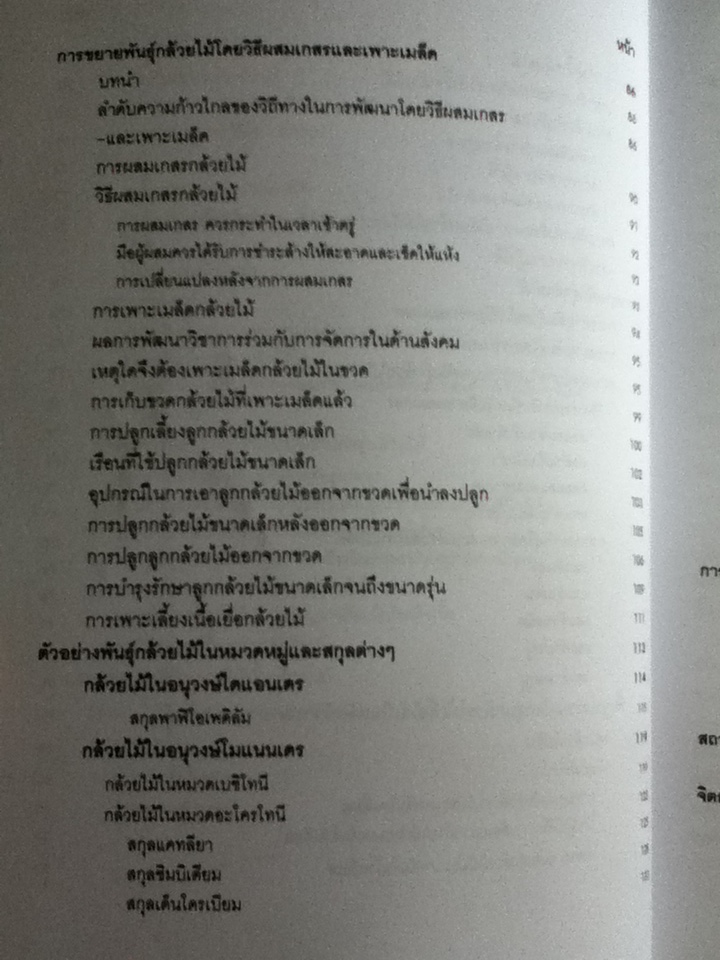 กล้วยไม้สำหรับผู้เริ่มต้น