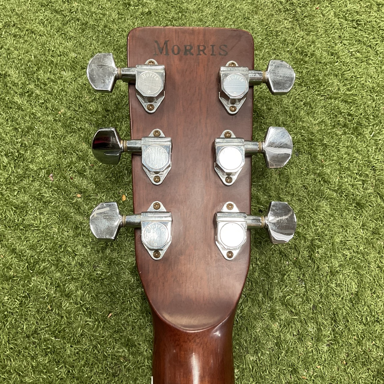 กีต้าร์โปร่ง Morris : W-30