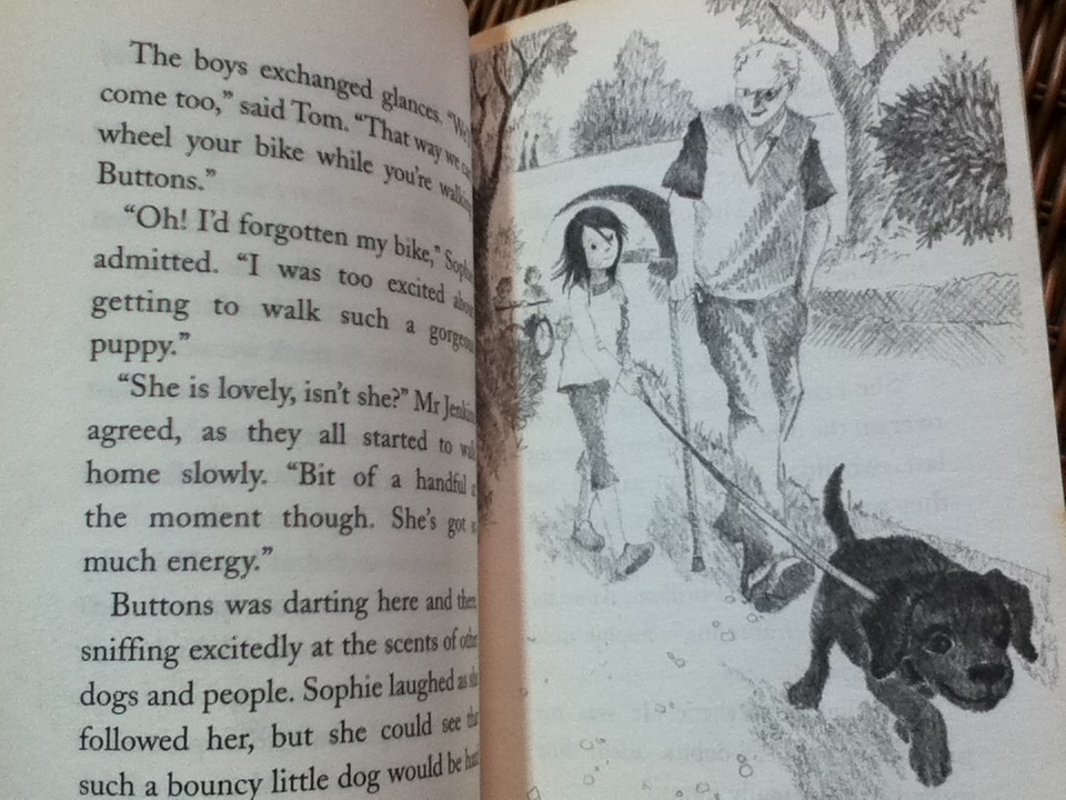 Buttons the Runaway Puppy/ Holly Webb