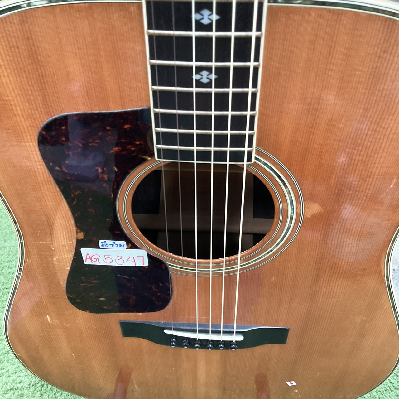 กีต้าร์โปร่ง Morris : W-50 (สำหรับมือซ้าย)