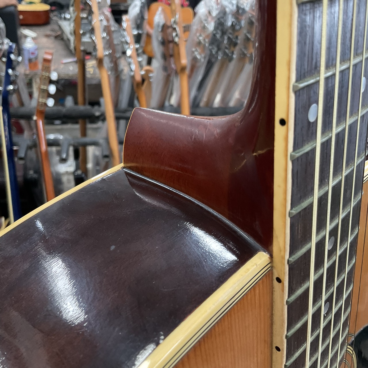 กีต้าร์โปร่ง Morris : W-20