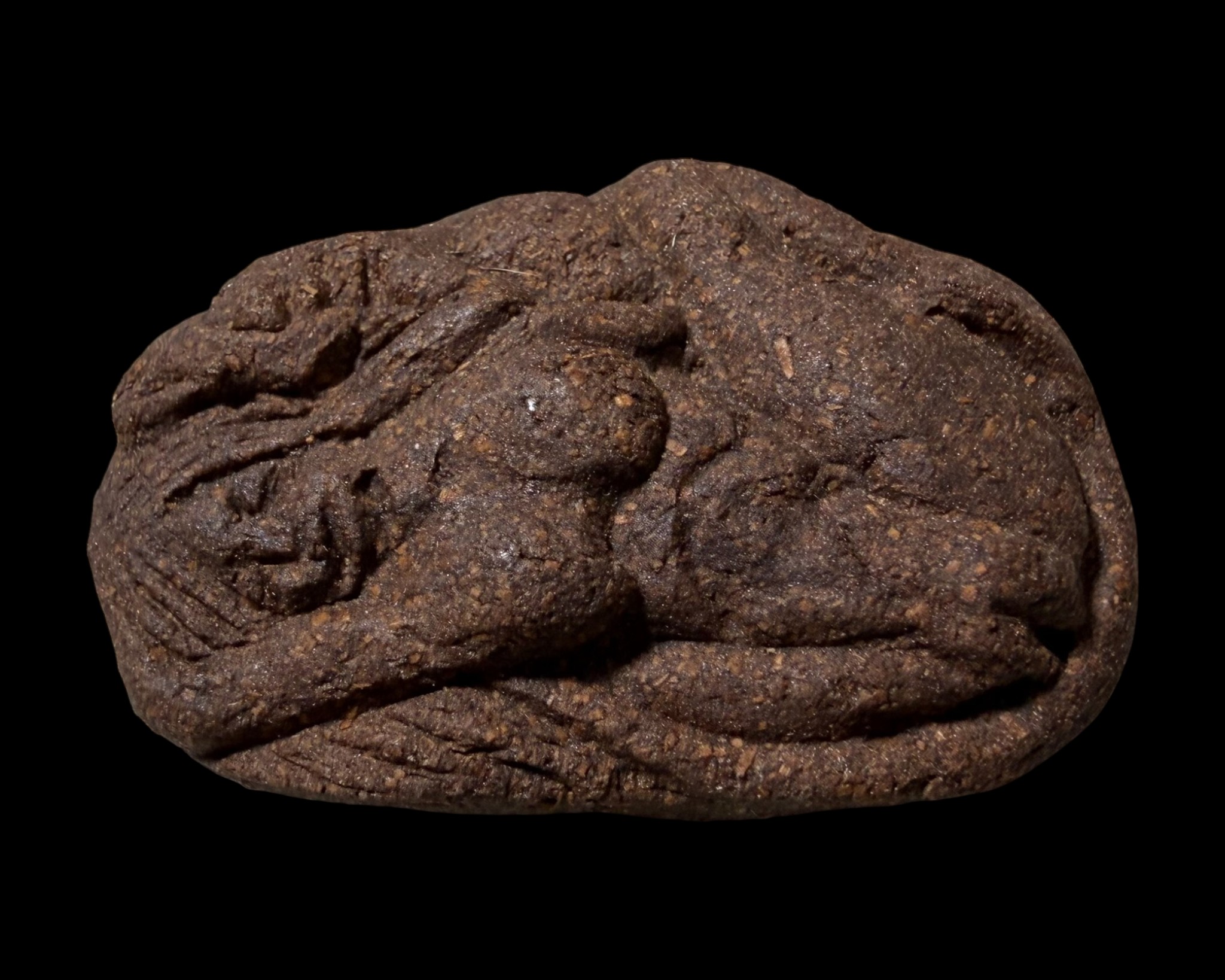 นางจิ้งจกเสน่ห์ Lady Gecko. SKU-03541