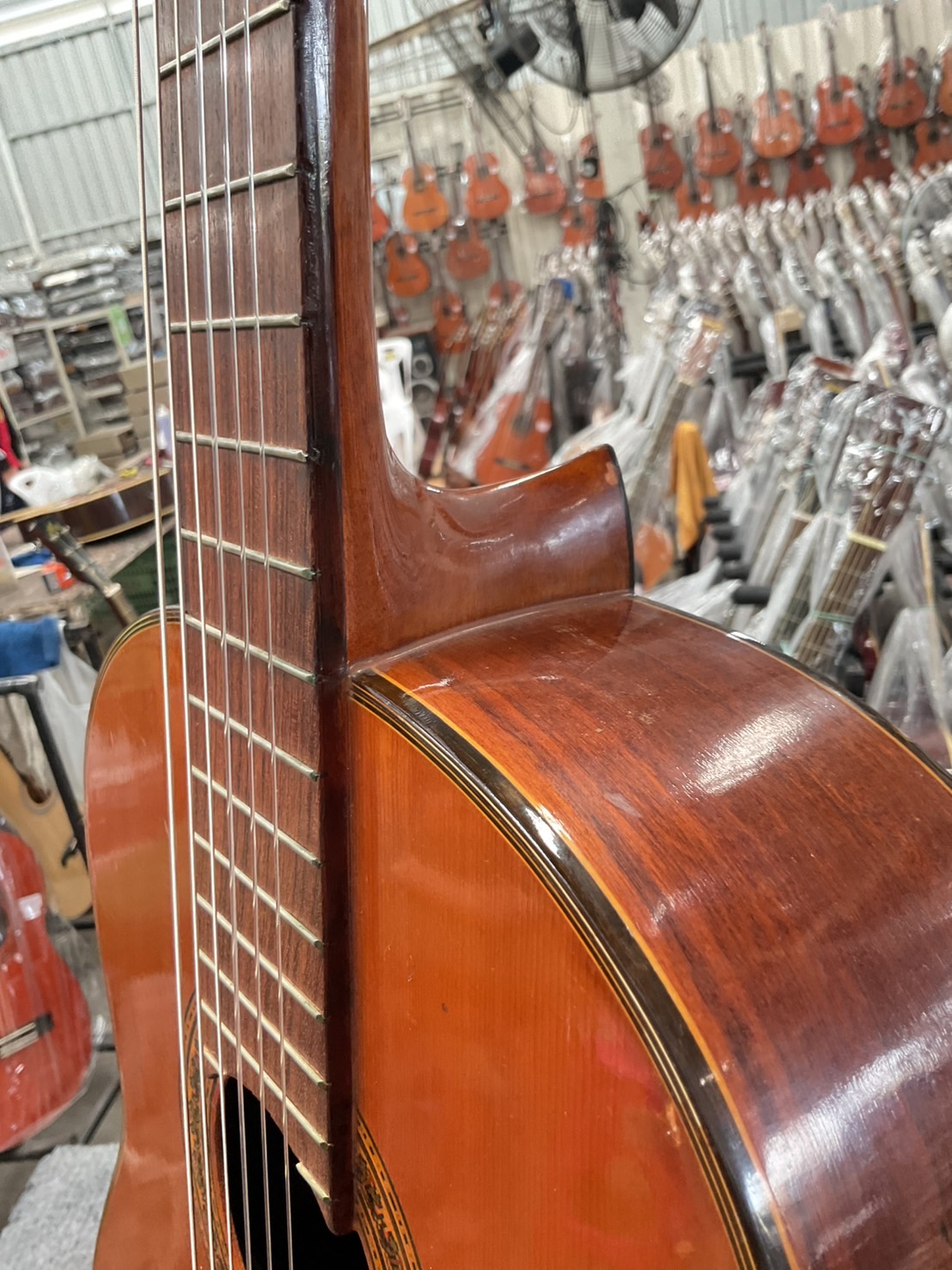 กีต้าร์คลาสสิค Shinano : No.35