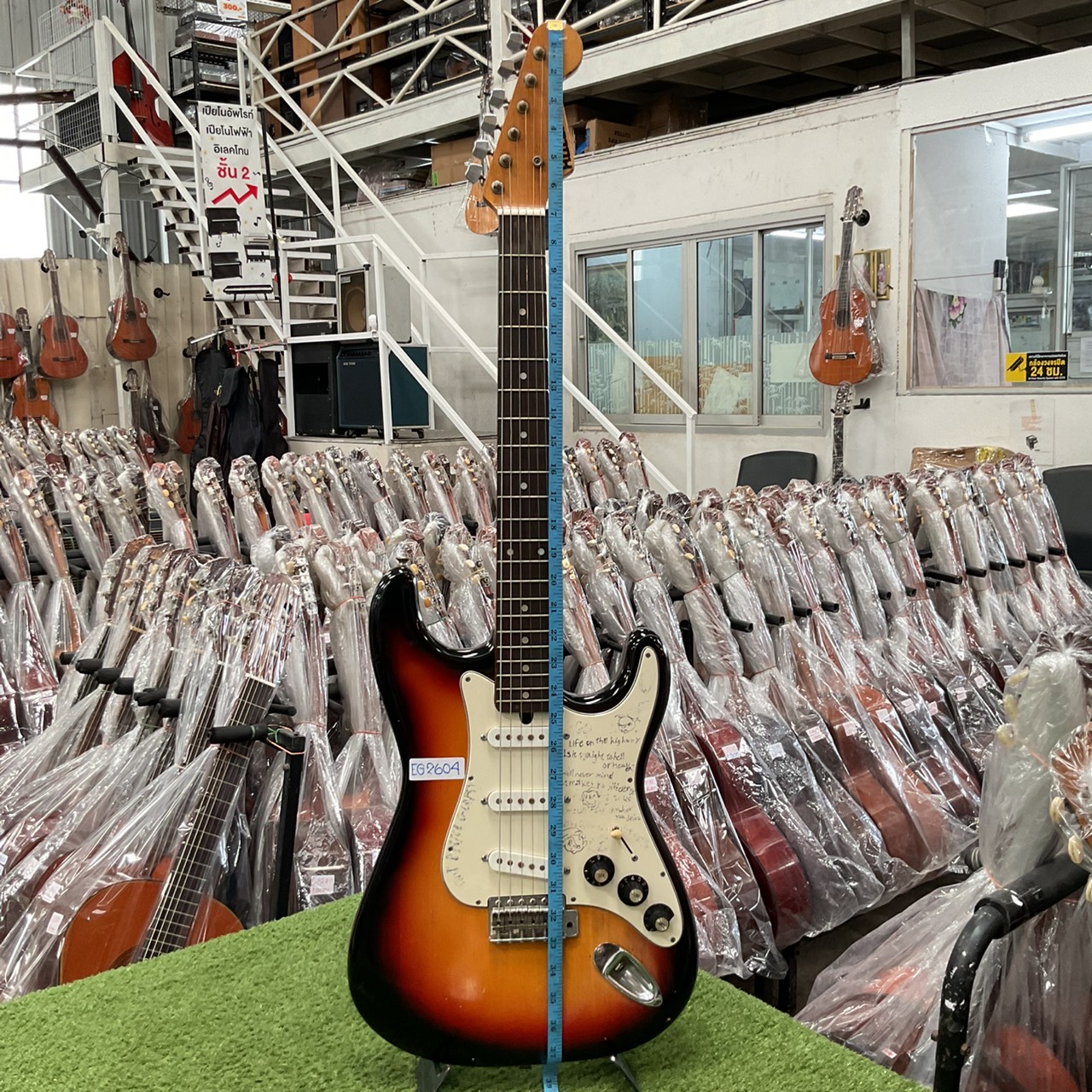 กีต้าร์ไฟฟ้า HOLLY : SPLENDOR