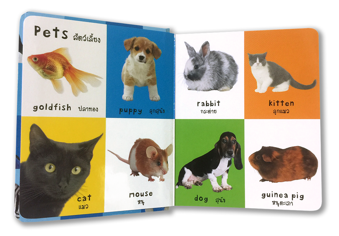 First 100 Animals: 100 ชื่อสัตว์ตัวแรกของหนู